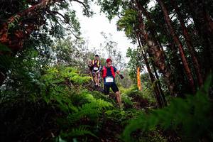 BIB: 
                            <button type="button" onclick="openModal(26204003)" class="btn btn-primary btn-sm float-right btn-popup" data-toggle="modal" data-target=".modal-high-quality">
                        <i class="fas fa-shopping-cart"></i> Add to Cart
                    </button>
                                            <button type="button" onclick="isThisMe(26204003, true)" class="btn btn-success btn-sm float-right btn-popup btn-isme hidden" data-toggle="tooltip" data-placement="bottom" title="นี่คือรูปของคุณใช่ไหม คลิกที่นี่เพื่อเอาเข้าอัลบั้ม">
                        <i class="fas fa-plus"></i> Add to album
                    </button>
                    <button type="button" onclick="isThisMe(26204003, false)" class="btn btn-warning btn-sm float-right btn-popup btn-isnotme hidden">
                        <i class="fas fa-ban"></i> Remove from album
                    </button>